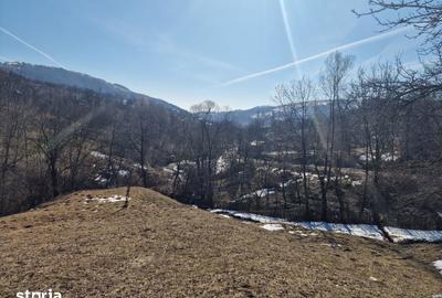 Teren de 4100 mp, în Secăria - 2
