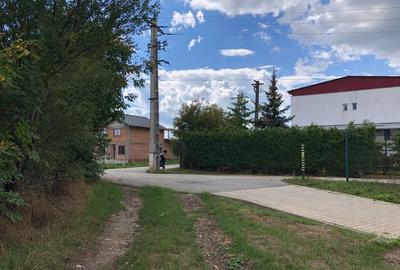 Teren extravilan 38.000 mp in sat Daia / com. Rosia / jud. Sibiu - 6