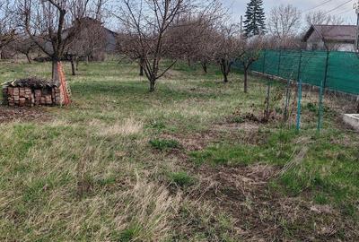 Casă cu Teren 900 Mp în Toporu - 2