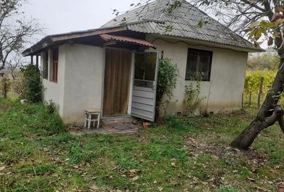 Casa de la viie Casa de la viie - 1