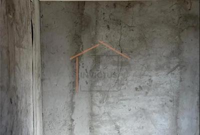 Casă cu 3 camere cu Teren 1723 Mp în Bogza - 9