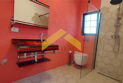 Casa de vanzare P+M in S?nandrei, Timis - 8