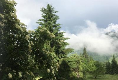 Casă cu 3 camere în Brodina - 7