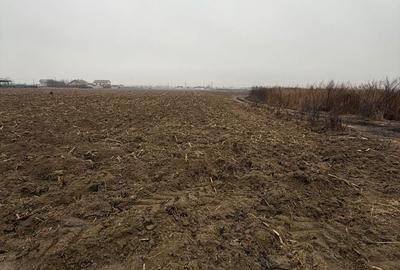 Teren de 1500 mp, în Hemeiuș - 2