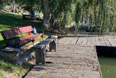 Teren intravilan 2.100 mp acces lac și utilități, Siliștea Snagovului - 3