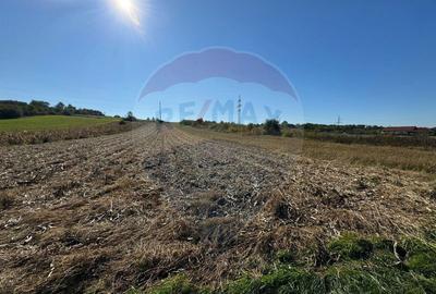 TEREN DE VANZARE - Satu Mare zona Lucian Blaga - 2