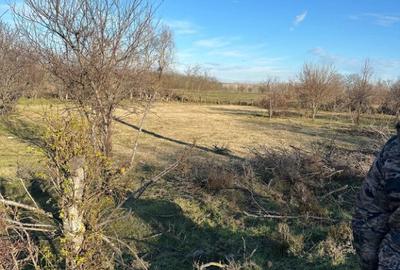 Teren- intravilan in DELTA- loc BALTENII DE JOS - 2