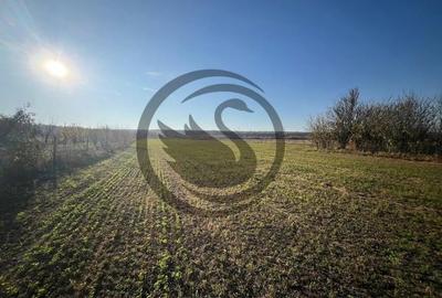 Teren de 12650 mp, în Ghirdoveni - 13