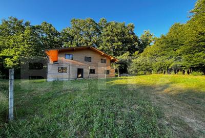 ????Cabana de Vis in Inima Naturii Investi?ia Perfect? - 31