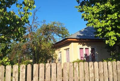 Casa de vanzare - 10