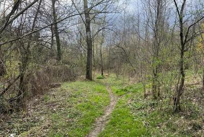 Breaza - str. Plaiului, teren 1400 mp - 12