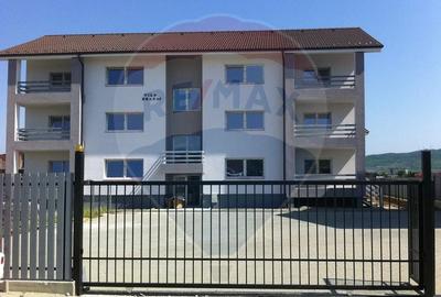 Apartament cu 3 camere decomandat, mobilat în Șelimbăr - 13