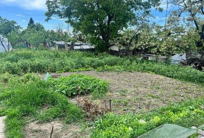 Balaceanca- Centru, Profi-Spital, casa 4 camere, teren 550 mp - 13