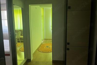 Apartament cu 2 camere decomandat în Borhanci - 10
