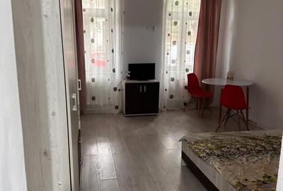 Apartament cu o camera Balcescu - 3
