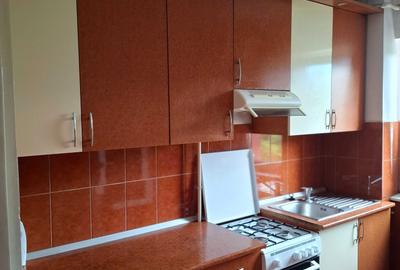 Apartament cu 2 camere semidecomandat în Drumul Carului - 1
