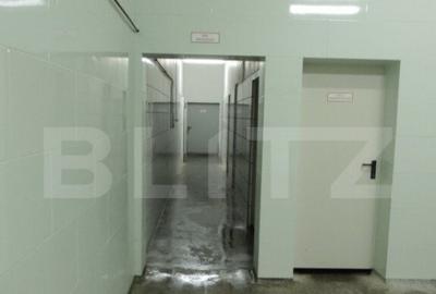 Spațiu comercial, de 500 mp, în Central - 4