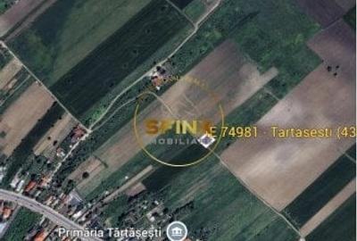LOT de casa Tartasesti Primarie, teren cu potential - 5