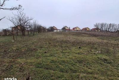 Casă cu 7 camere cu Teren 2354 Mp în Central - 7