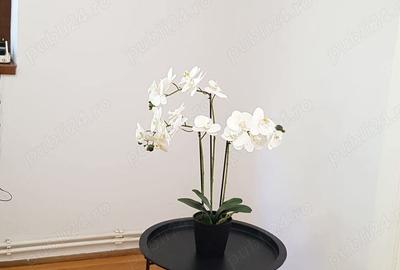 Inchiriere Spatiu Birouri, Comercial, etc Ultracentral - 1