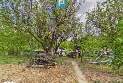 Casă cu 3 camere în Julița - 13