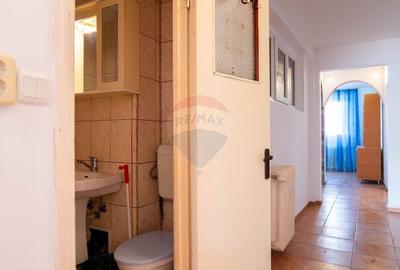 Apartament cu 4 camere decomandat, mobilat în Doamna Ghica - 16