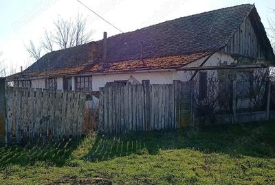 Casă cu Teren 2503 Mp în Central