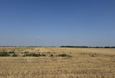 Teren agricol extravilan de 10000 mp, în Dragomirești-Vale - 4
