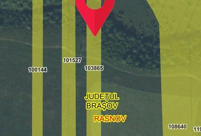 Teren de 5000 mp, în Pănicel - 2