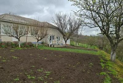 Casă cu 6 camere cu Teren 1900 Mp în Mihai Bravu - 4