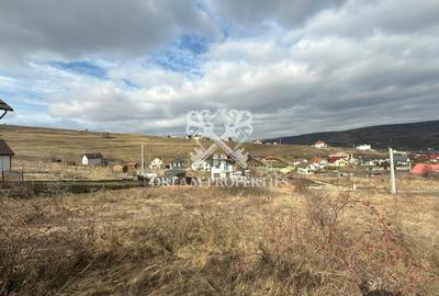 Teren agricol intravilan de 868 mp, în Câmpenești - 4