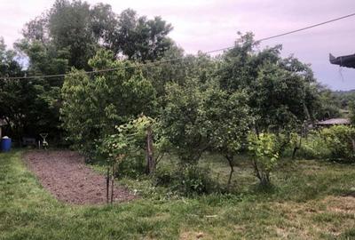 Casa cu gradina si terenuri - 1