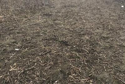 Spațiu comercial, în Central - 1