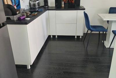 Apartament cu 3 camere în Nufărul - 7
