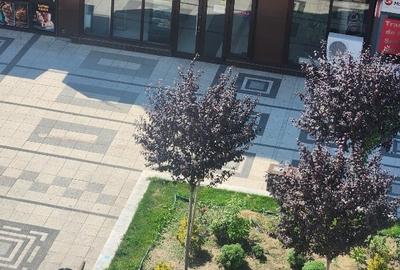 Afacere la cheie Cofetărie Patiserie