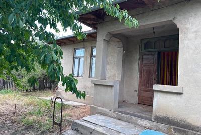 Casa 4 camere înalte, Ialomița, Ciochina, teren 1610 m, - 7