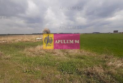 Teren Construcții intravilan de 5110 mp, în 1 Decembrie - 39