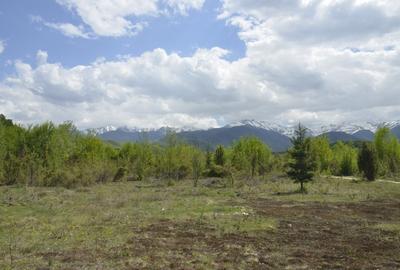 Teren agricol extravilan în Porumbacu de Sus