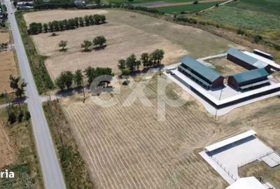 Teren de 105000 mp, în Singureni - 2