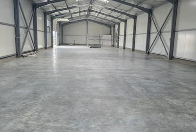 Spațiu comercial, de 600 mp, în Brazi - 16
