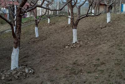 Casă cu 2 camere în Făget - 5