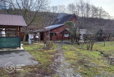 Casa de vacanta, teren 2500 mp, sat. Casoaia - 5