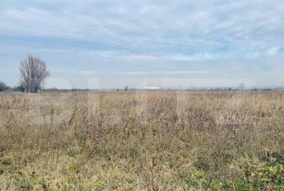 Teren extravilan agricol 5792 mp Popoveni - 1