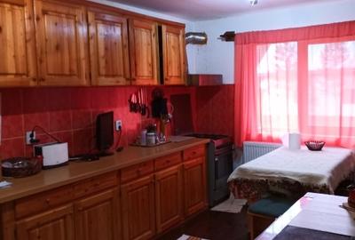 Casă de vacanță în Pojorâta - 7