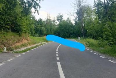 Teren de 9500 mp, în Zece Hotare - 5