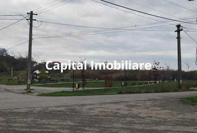 Baicoi Central 1613 mp Parc Petrom - 8