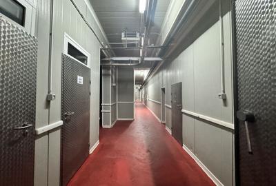 Spațiu industrial, 1270 mp în Dumbrăvița