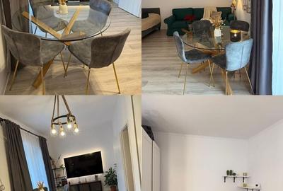 Giroc-Neptun | 1 Camera | Terasa 19 mp | Mobilat si Utilat - 3