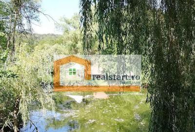 Centru Evenimente, Afacere la cheie, Restaurant cu MiniPe... Centru Evenimente, Afacere la cheie, Restaurant cu MiniPe... - 11