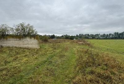 Vanzare 10.000 mp teren Liteni Suceava- la strada -potrivit proiect fonduri - 3